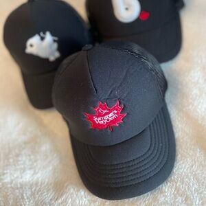 Pack of 3 BirdEh Snapback Hats